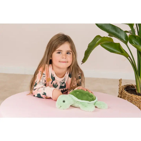 Sandy Turtle - Teddy Hermann