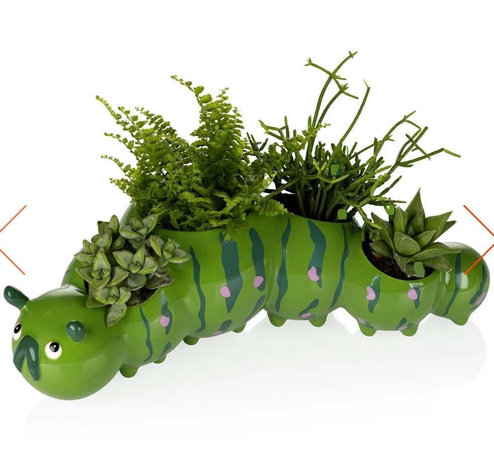 Caterpillar Planter