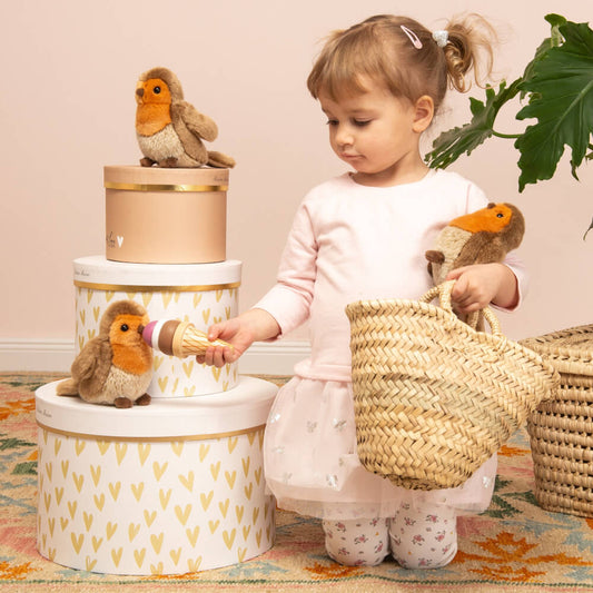 Robin - Teddy Hermann