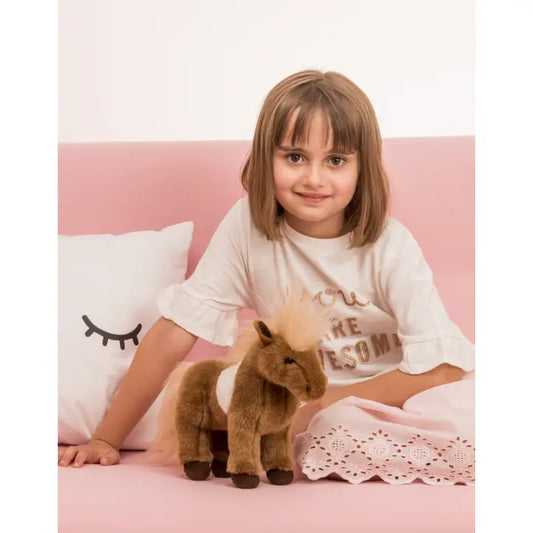 Shetland Pony - Teddy Hermann