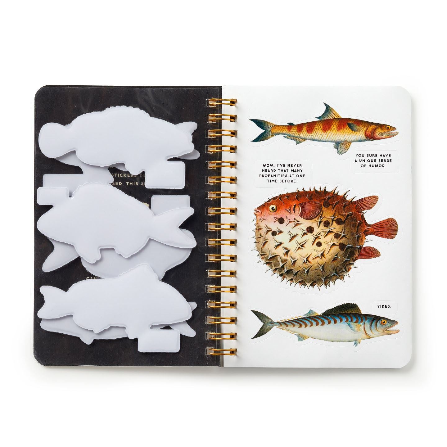 Judgy Fish - Sticker Book