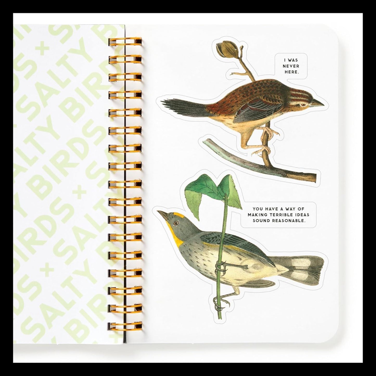 Salty Birds - Sticker Book