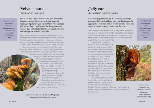 The Forager's Almanac