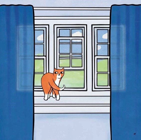 How To Adopt A Human: A Cats Guide