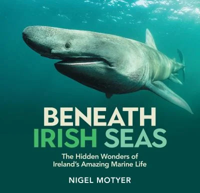 Beneath Irish Seas: The Hidden Wonders Of Ireland's Amazing Marine Life by Nigel Motyer