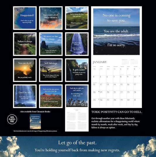 Disappointing Affirmations 2026 Wall Calendar