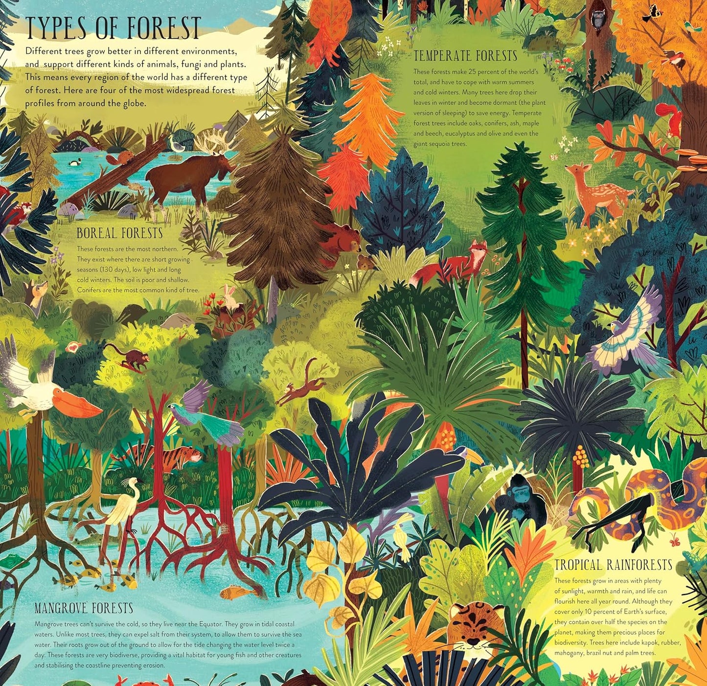 Build a Tree - Make and Play