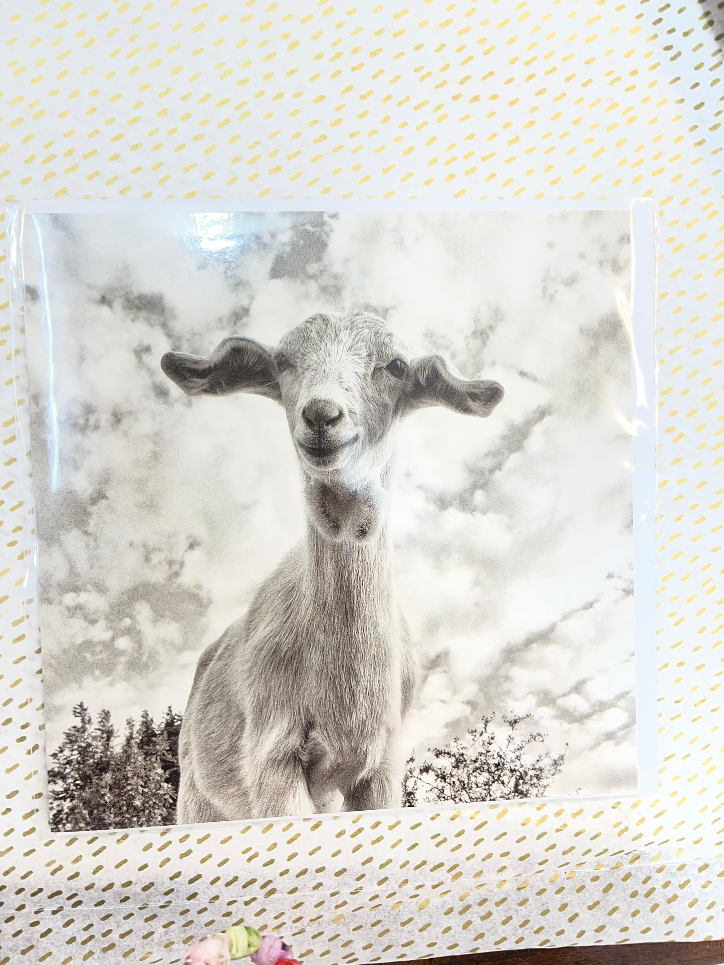 Happy baa day card