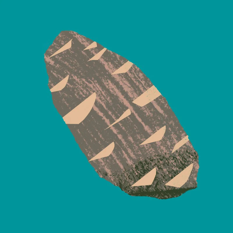 Atlas Cedar Essential Oil - Nature of Things