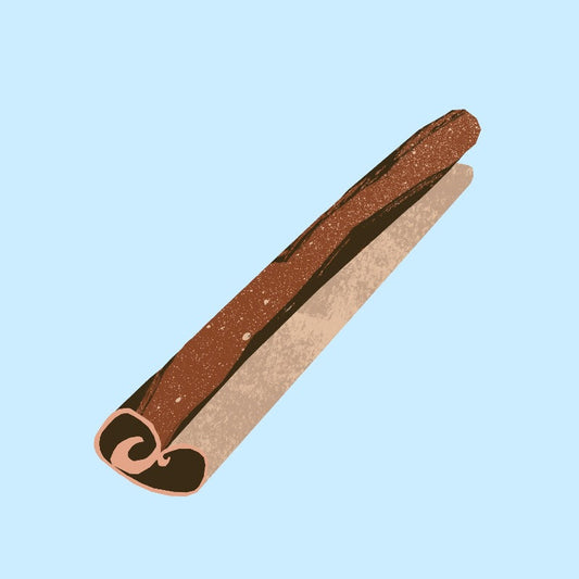 Cinnamon Bark Essential Oil - Nature of Things