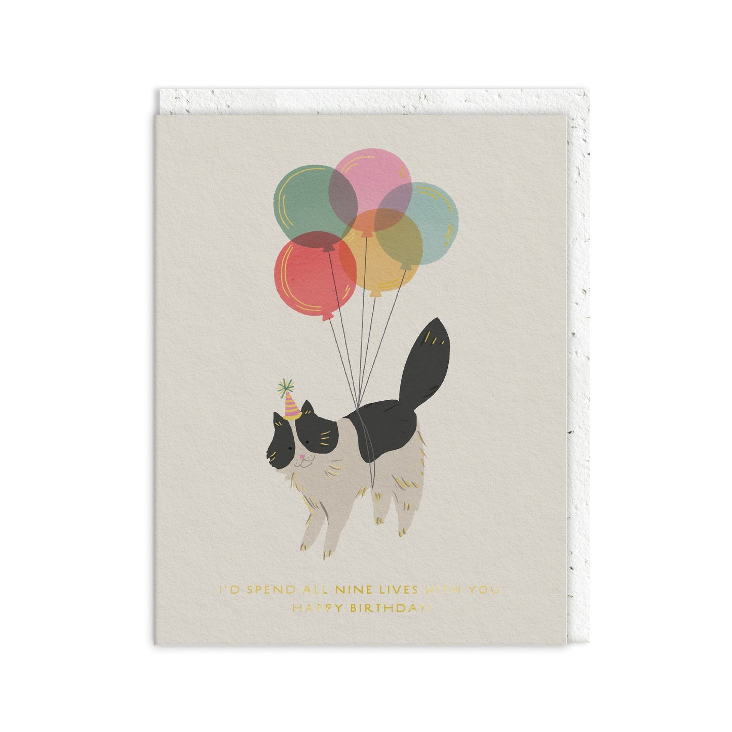 Nine Lives with You Birthday - Ohh Deer Card