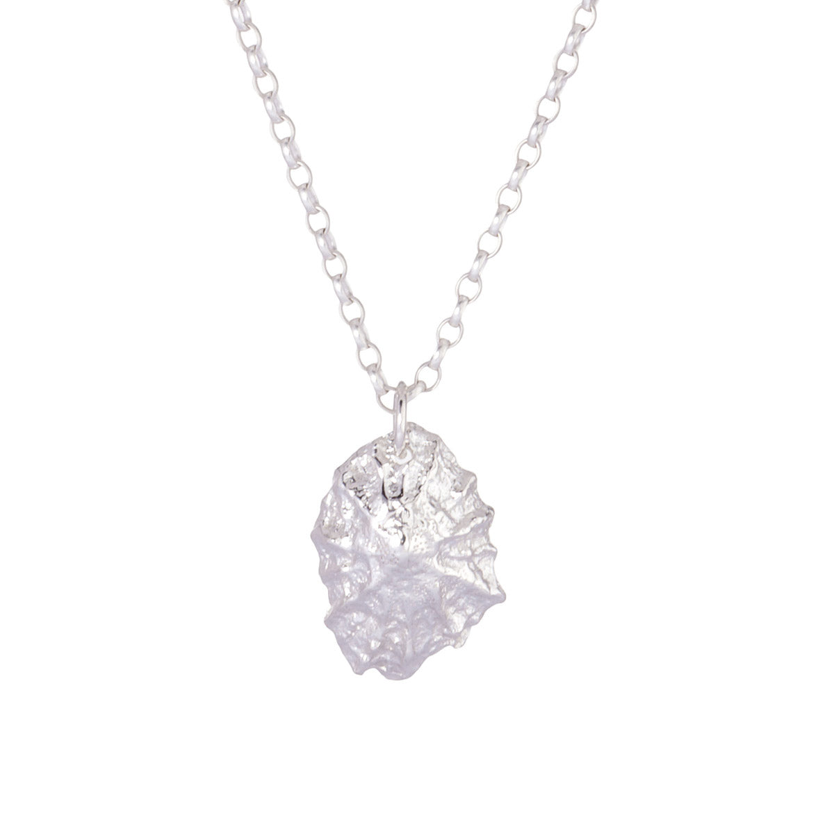Limpet Shell Necklace