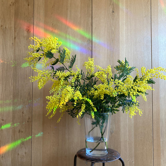 Rainbow Maker Sticker