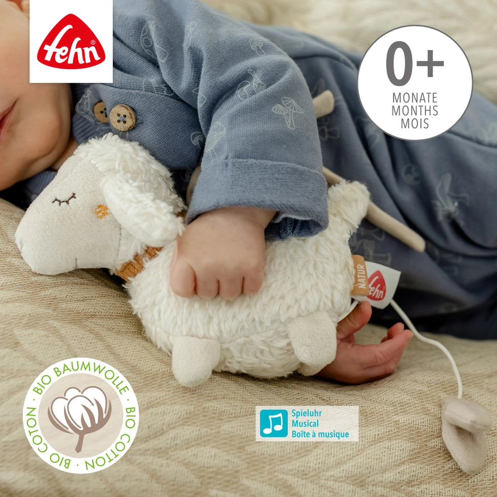 Mini Sheep Musical Teddy