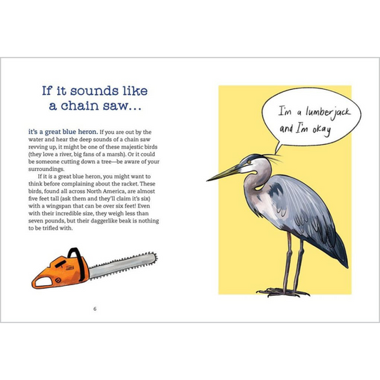 Bird Talk - Hilarious Accurate Ways To Identify Birds