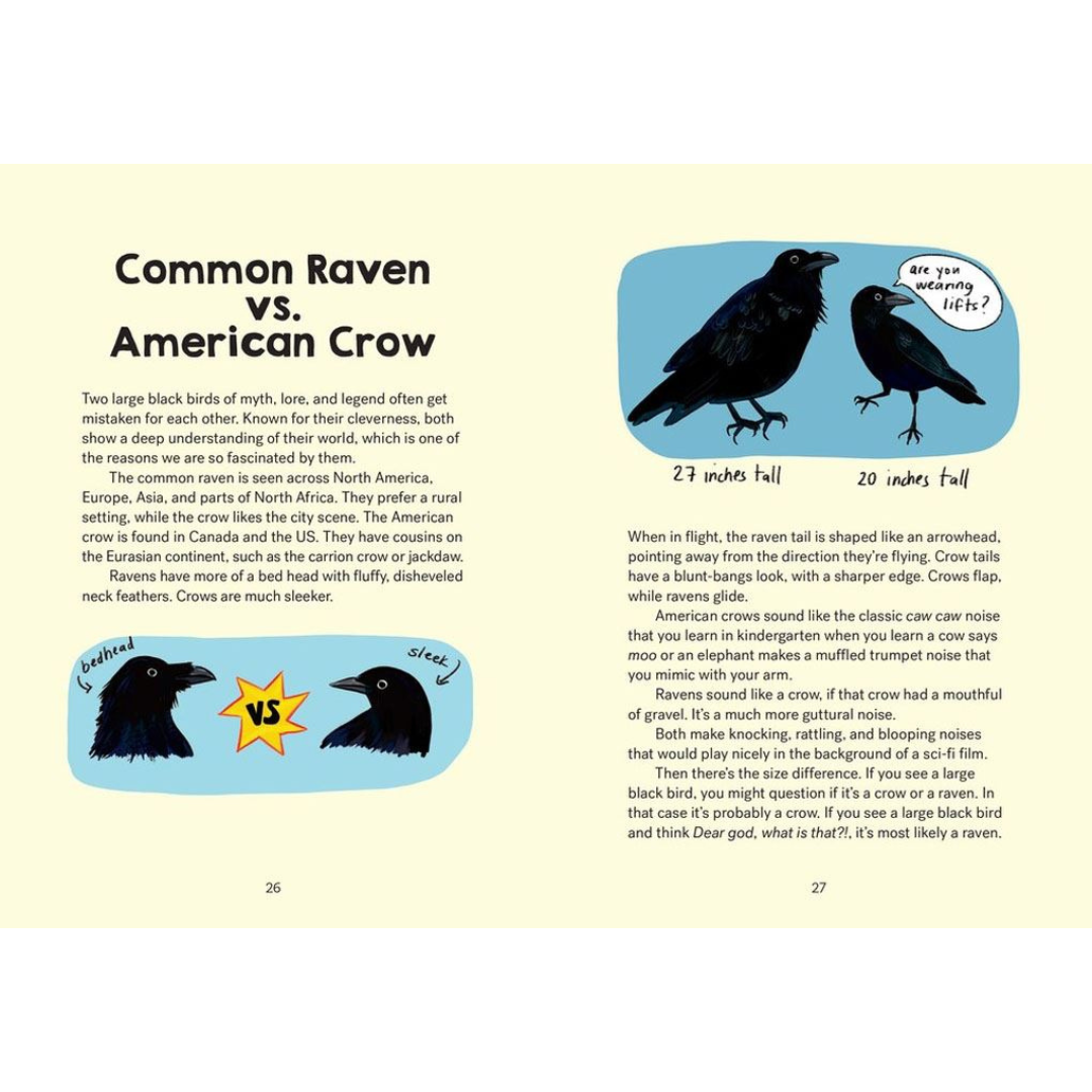 Bird Talk - Hilarious Accurate Ways To Identify Birds