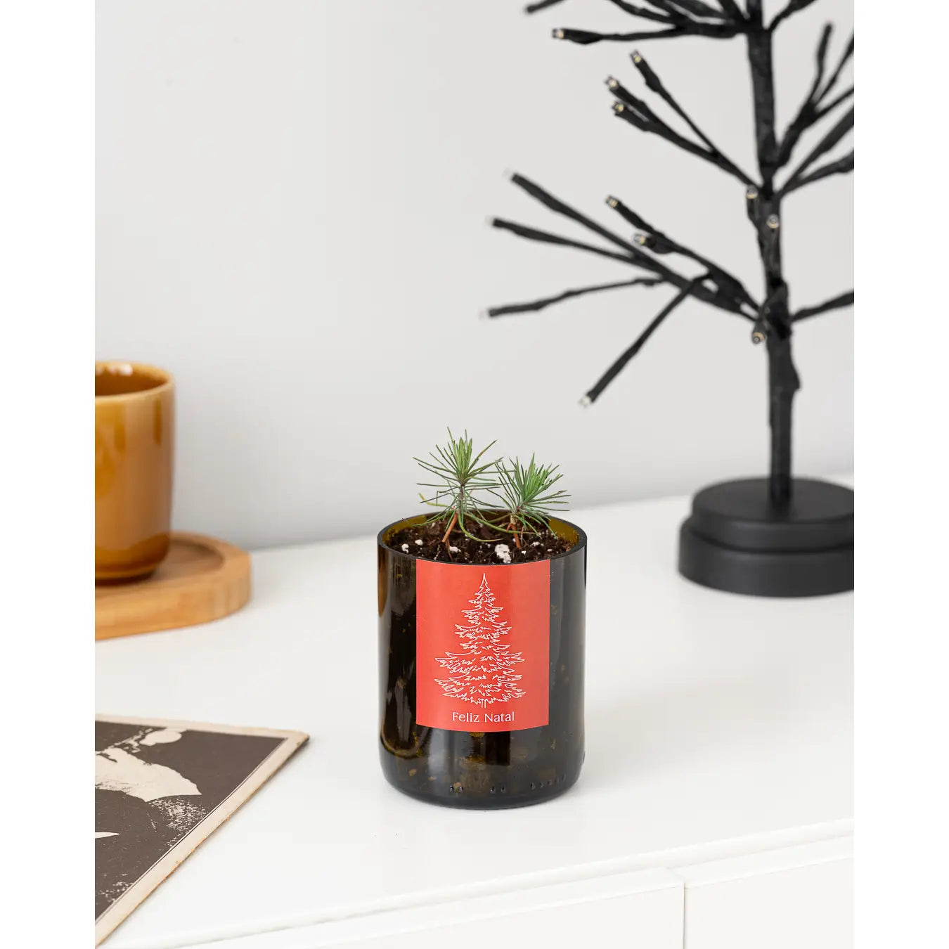 Bottle Garden Merry Christmas