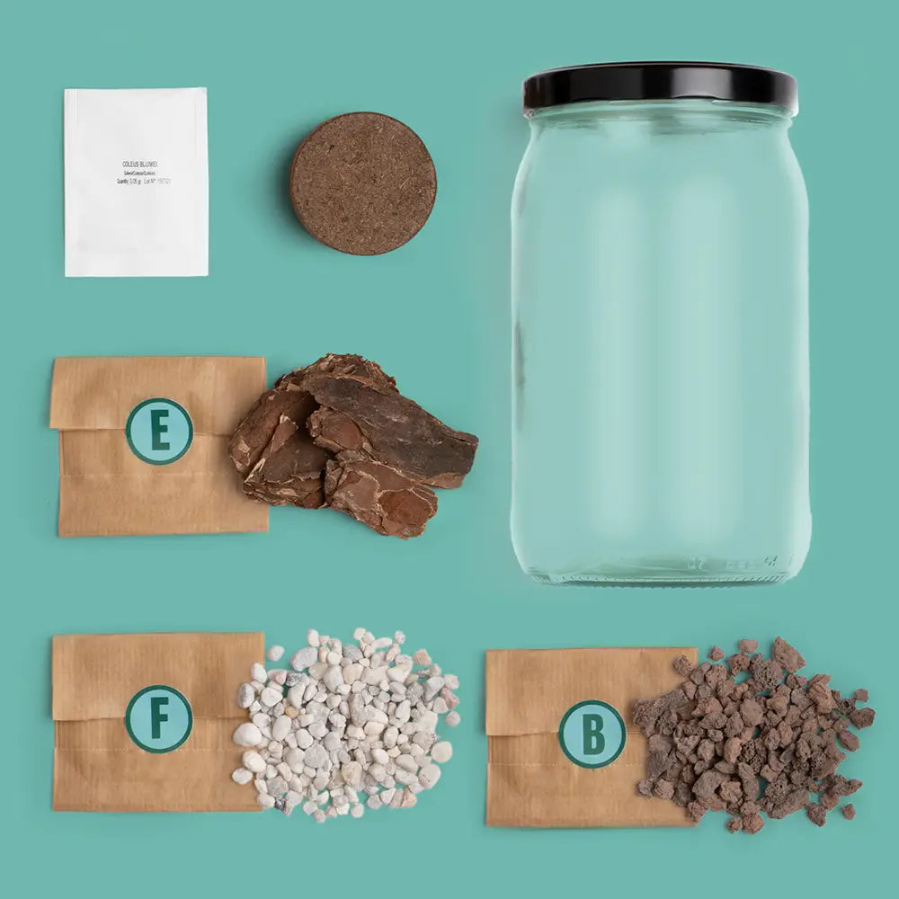 Terrarium Kit - Grow your own Ecosystem