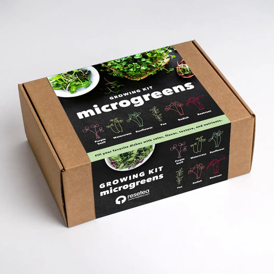 Microgreens Growing Kit