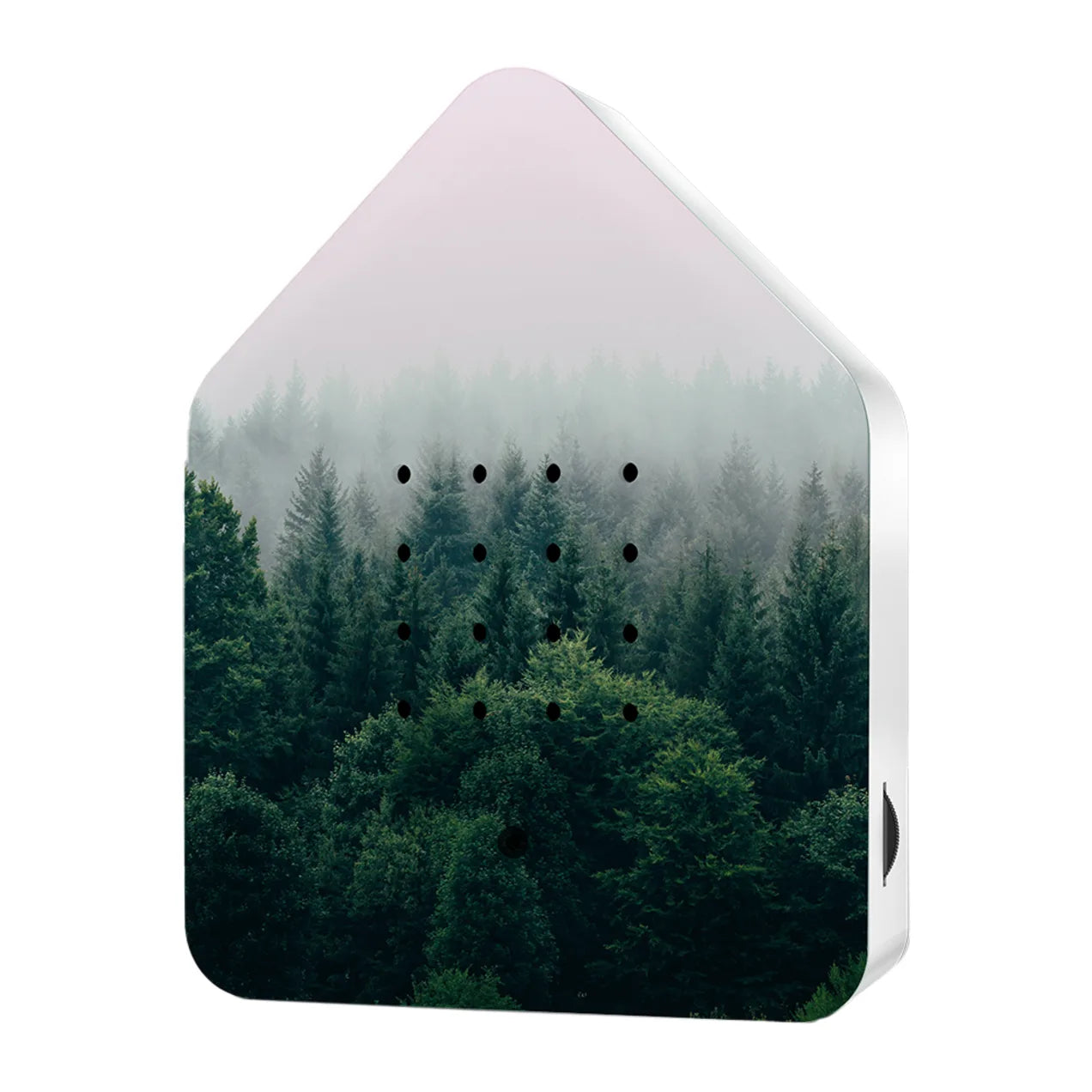 Zwitscherbox Limited Edition – Morning Forest
