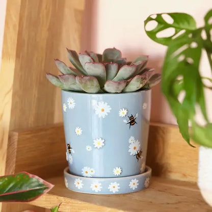 Blue Floral Bee Planter and Tray