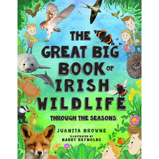The Great Big Book of Irish Wildlife: Through the Seasons