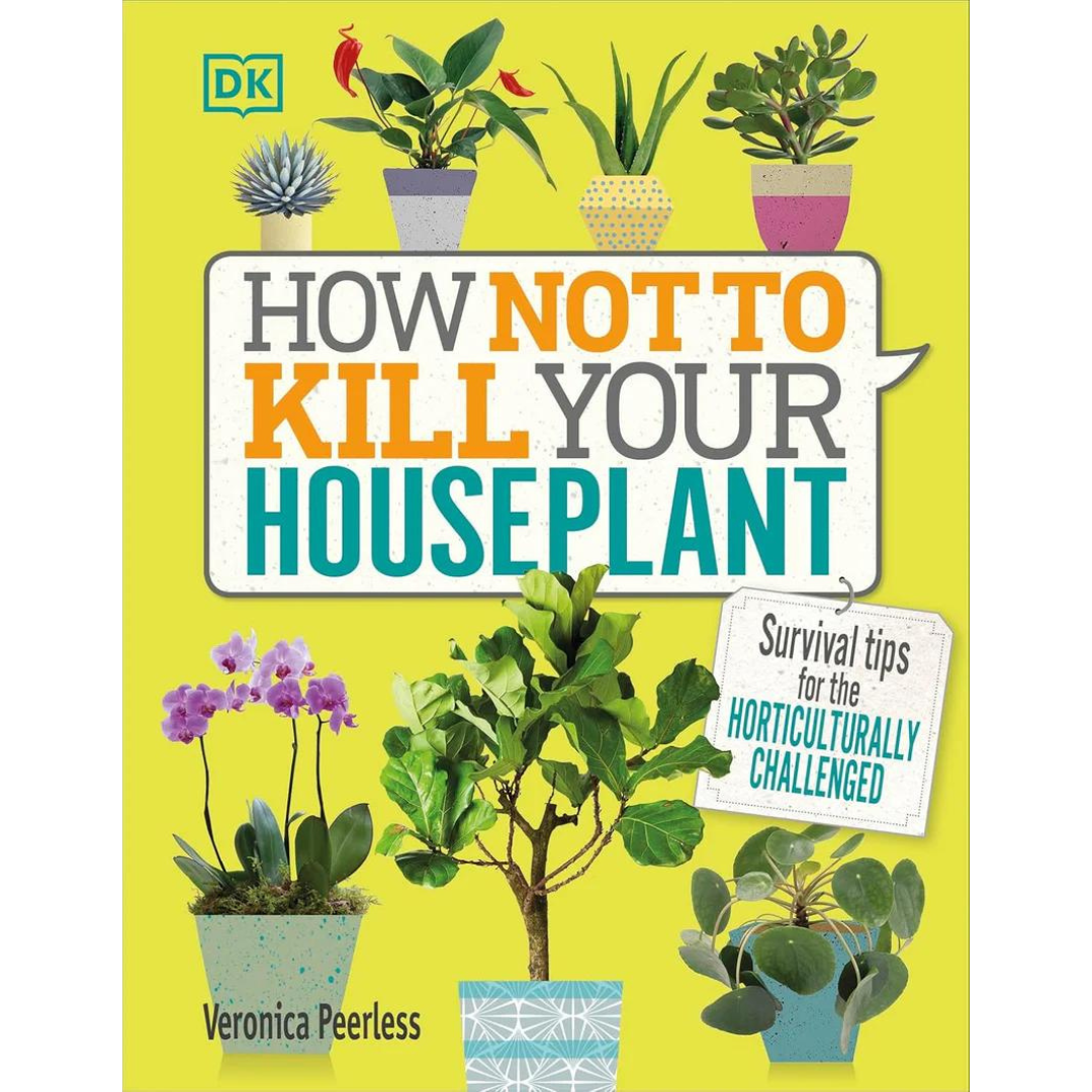 How To Not Kill Your Houseplant