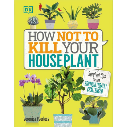 How To Not Kill Your Houseplant