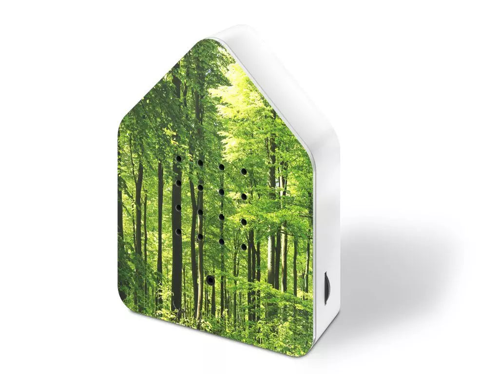 Bird Sound Box - Forest