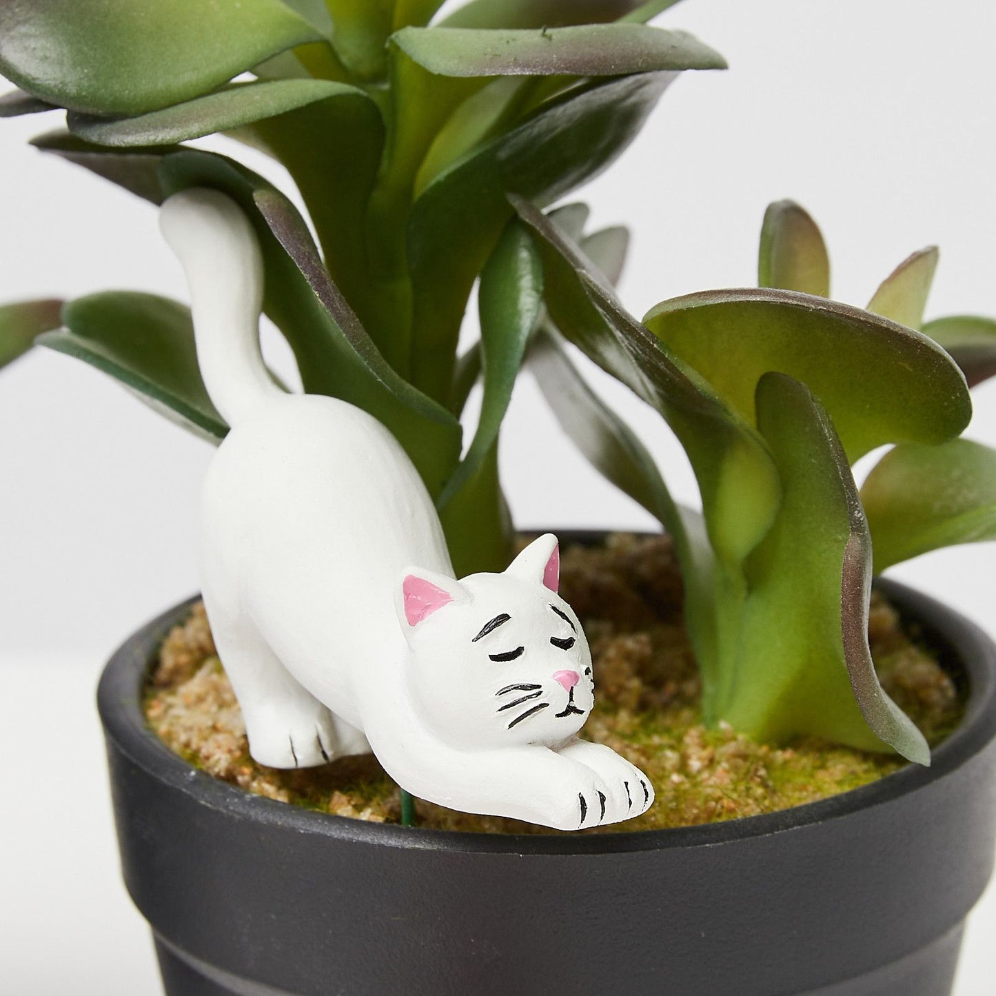 Mini Plant Pot Yoga Cats