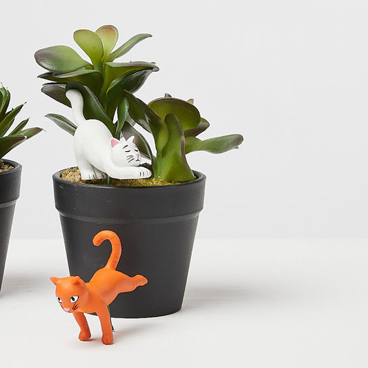 Mini Plant Pot Yoga Cats