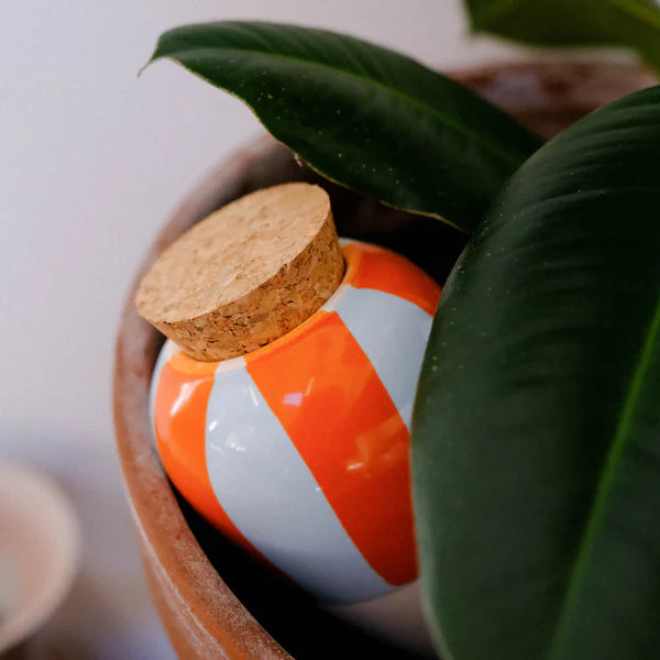 Pepin Olla - Self-Watering