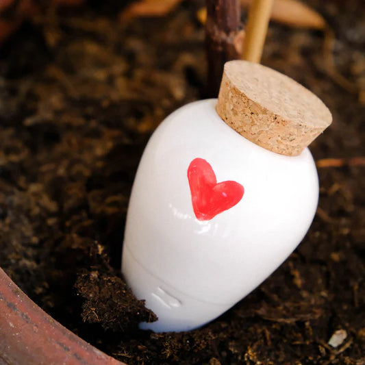 Pepin Olla - Self-Watering