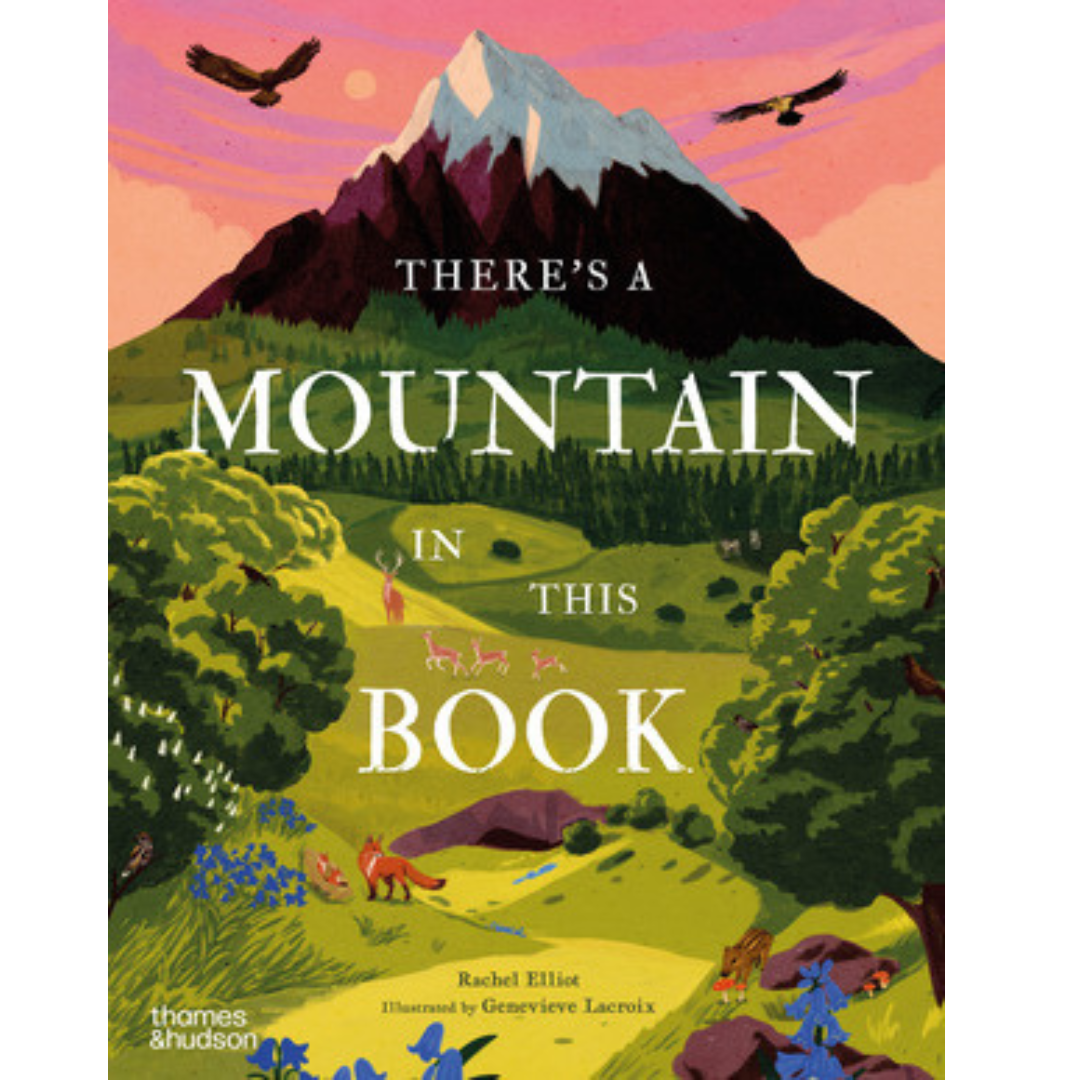 There's A Mountain In This Book