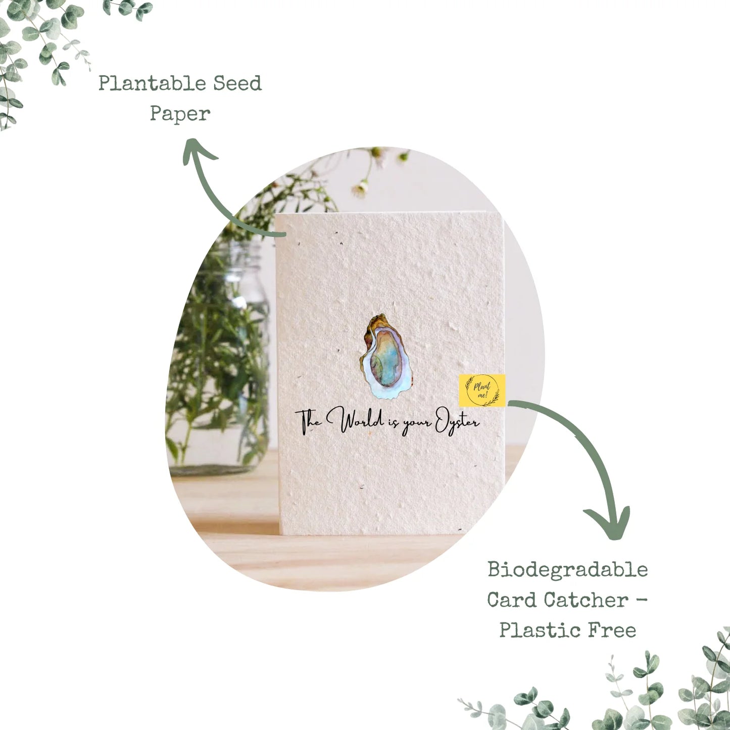 Lus Na Móinte/Bog Rosemary - Plantable Seed Card