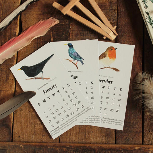 The Birds in My Garden 2026 Calender