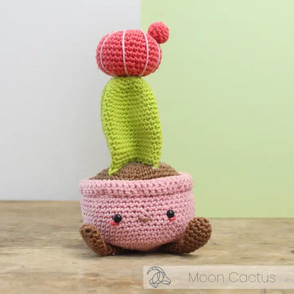 Moon Cactus Crochet Kit