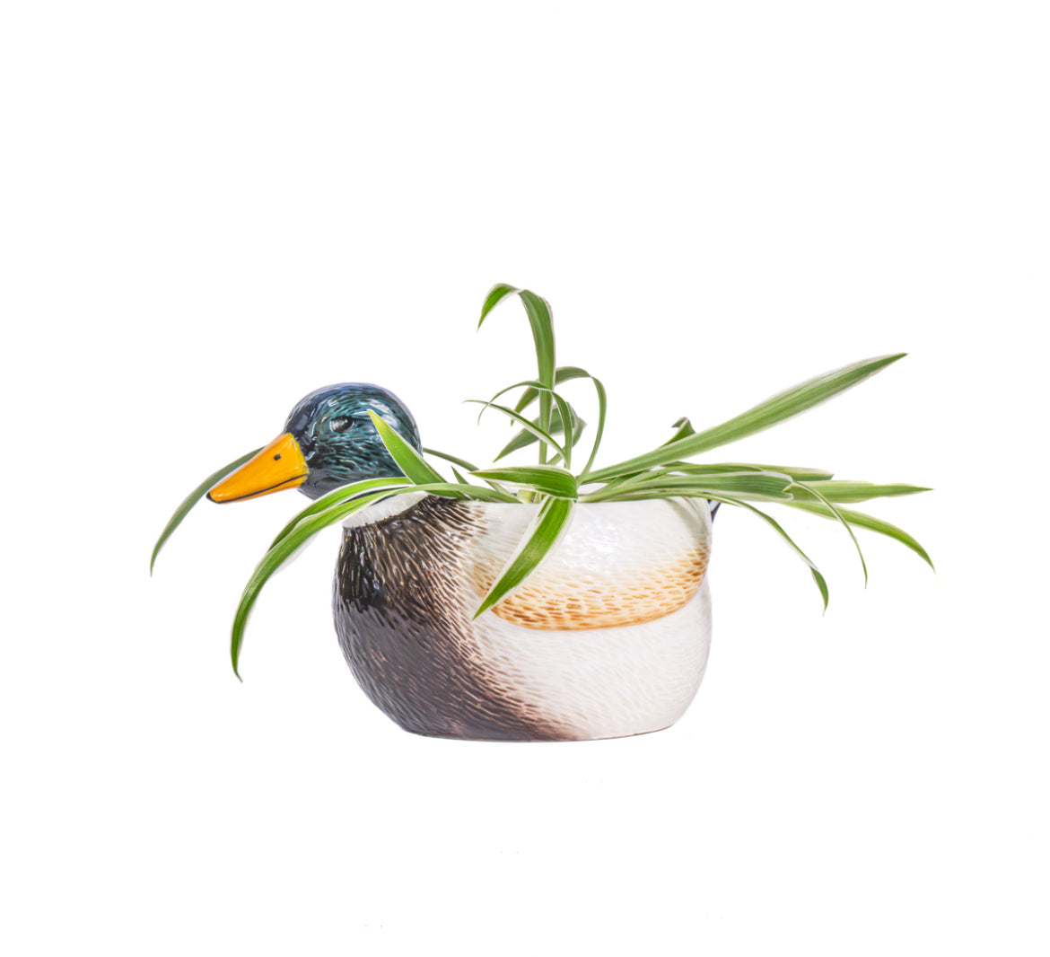 Mallard Duck Mini Planter