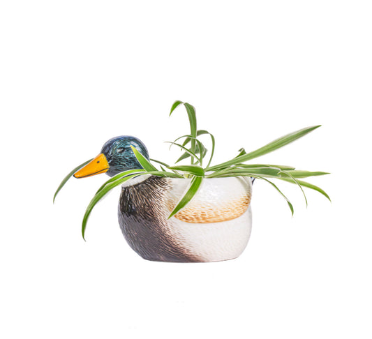 Mallard Duck Mini Planter