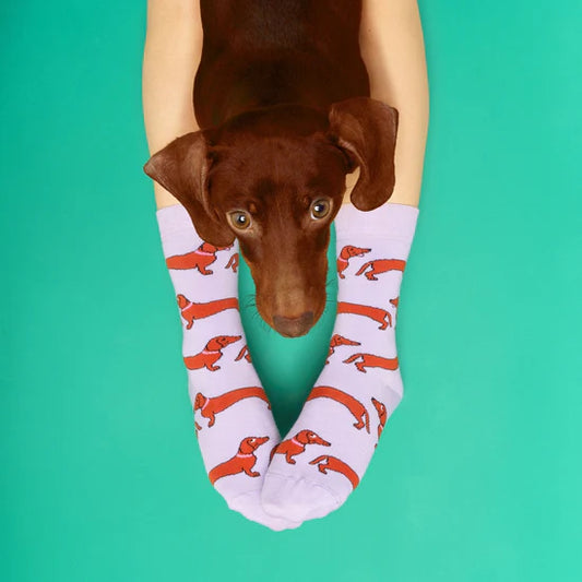 Sausage Dog Socks