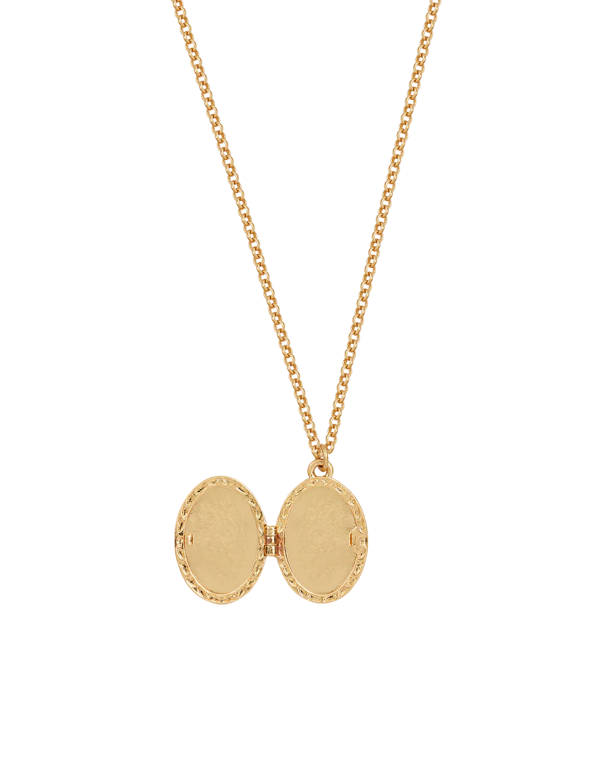 Gold Robin & Blackberry Locket Necklace