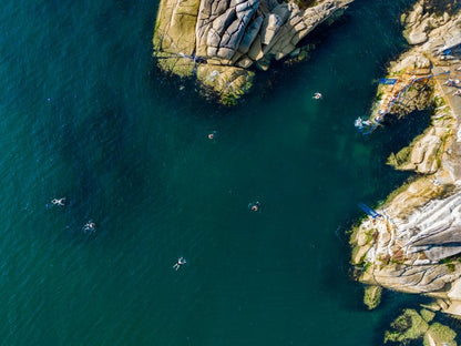 The Forty Foot, Sandycove - A3 Aerial Photo Print