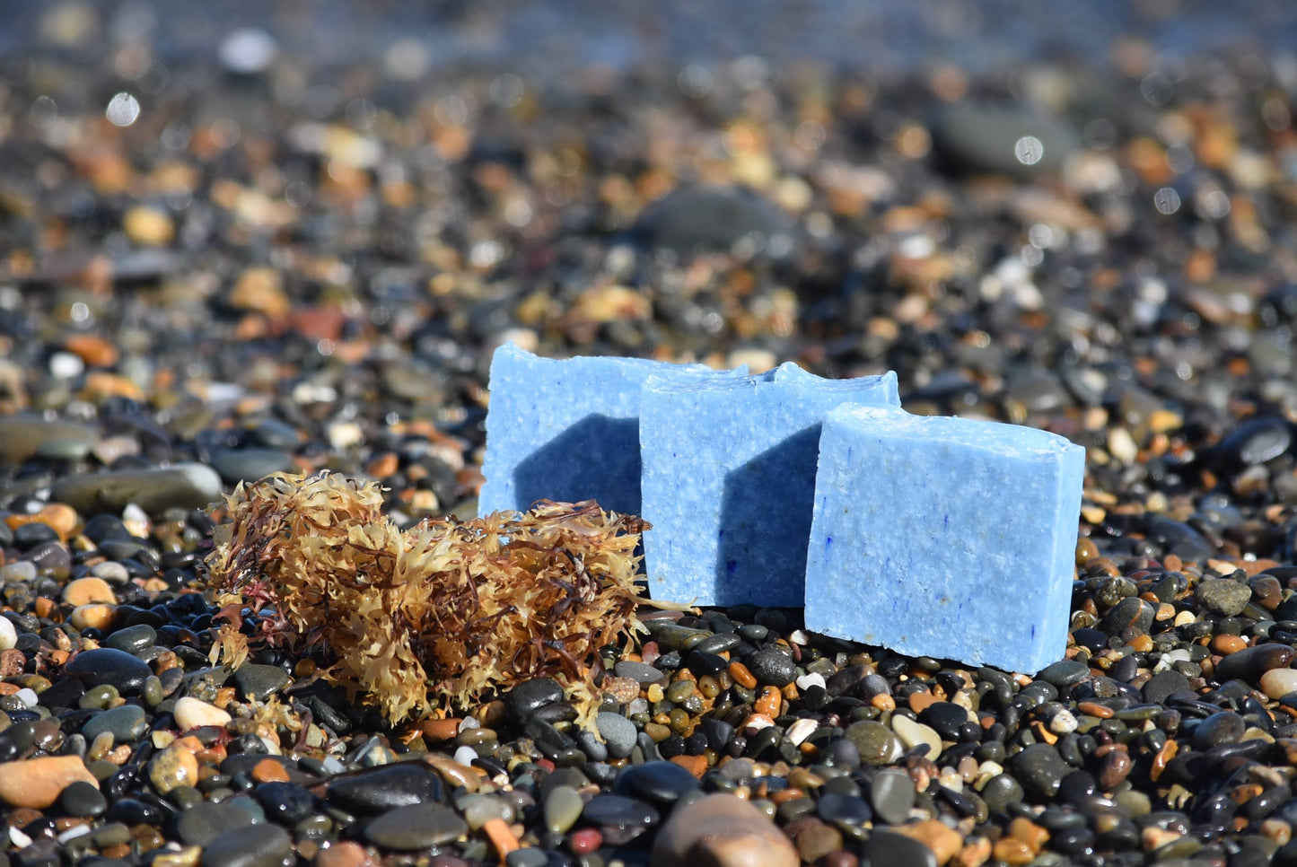 Seaweed & Sea Salt Soap - Janni Bars