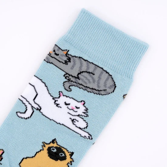 Meow Socks