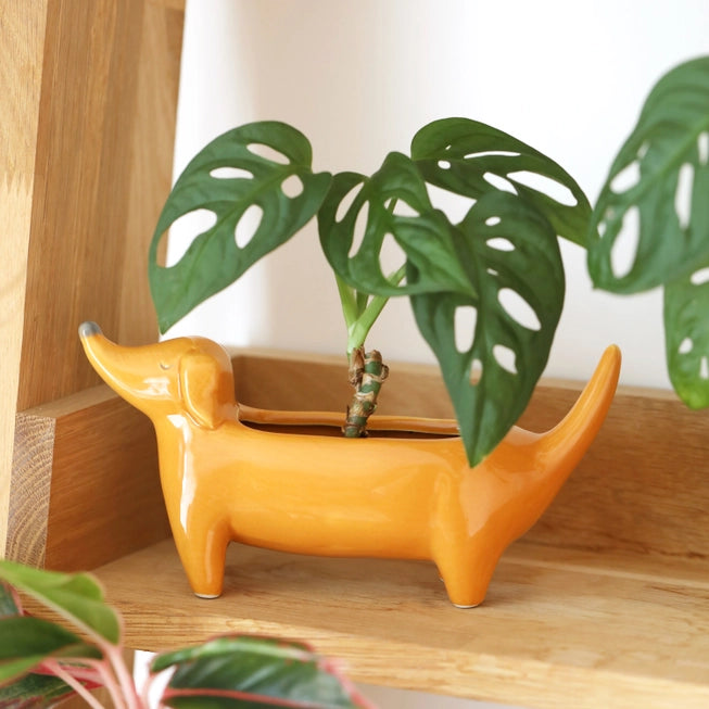 Mini Daschund Standing Planter