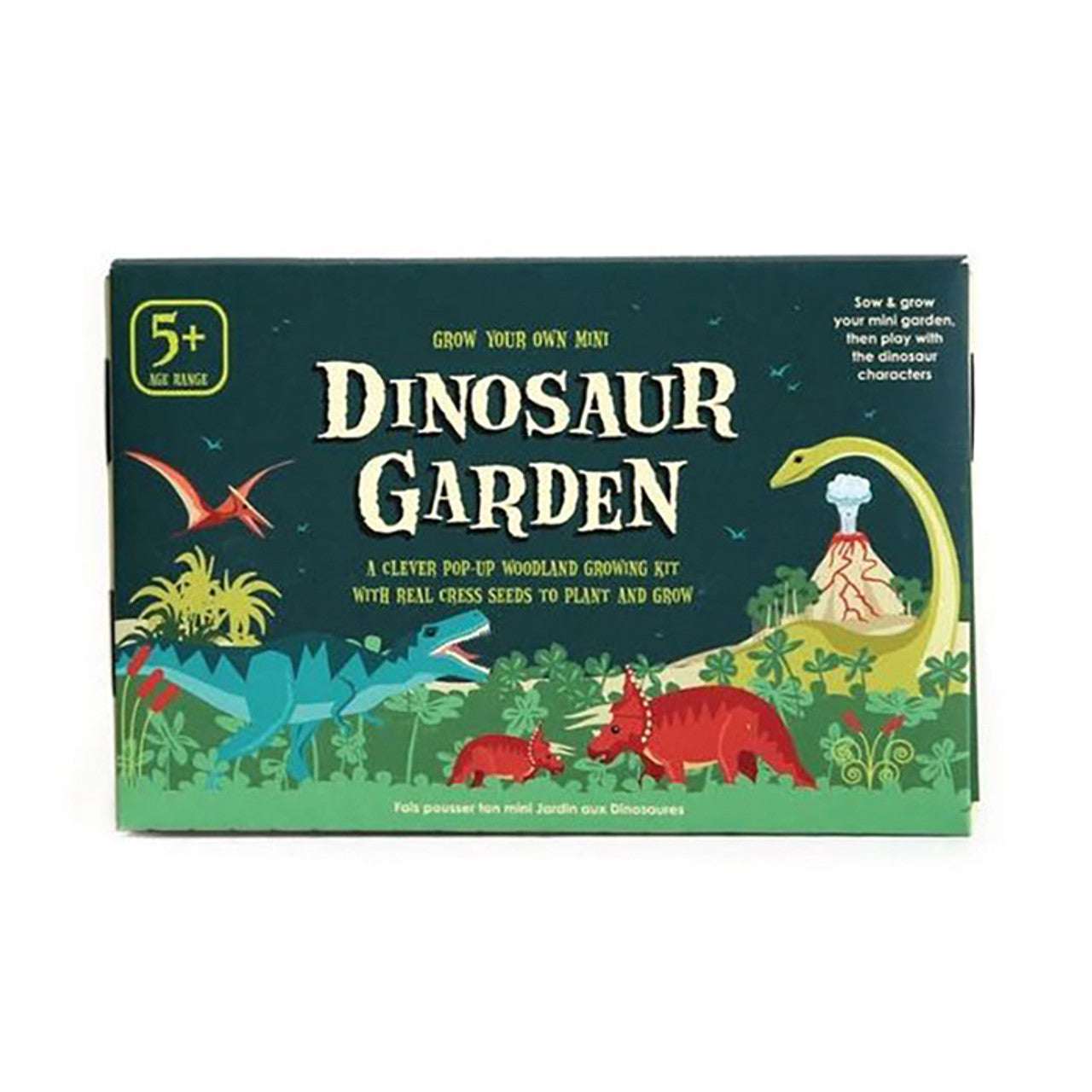 Grow Your Own Mini Dinosaur Garden