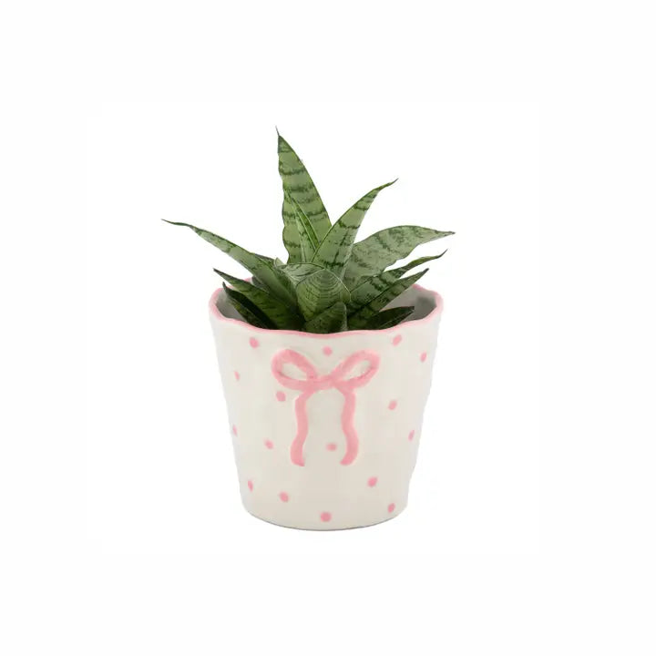 Bow Planter