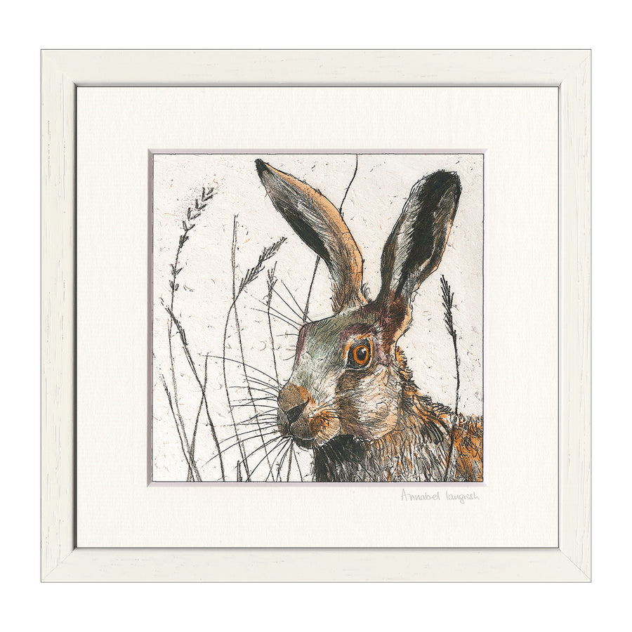 Framed Hare Fine Art Print