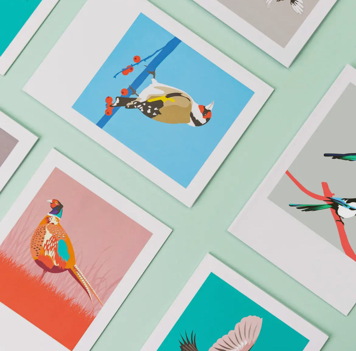 Bird Greeting Card Box