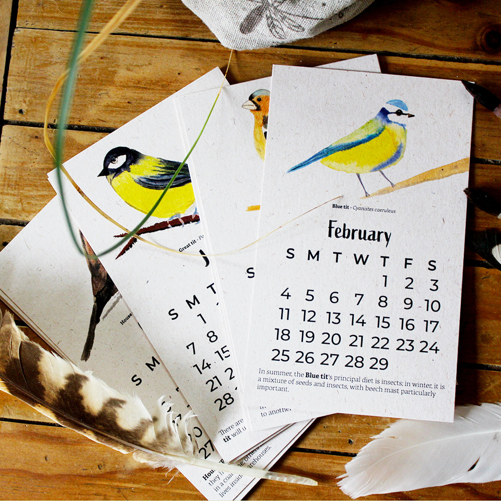 Birds In My Garden Calender